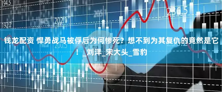 钱龙配资 悍勇战马被俘后为何惨死？想不到为其复仇的竟然是它！_刘洋_宋大头_雪豹